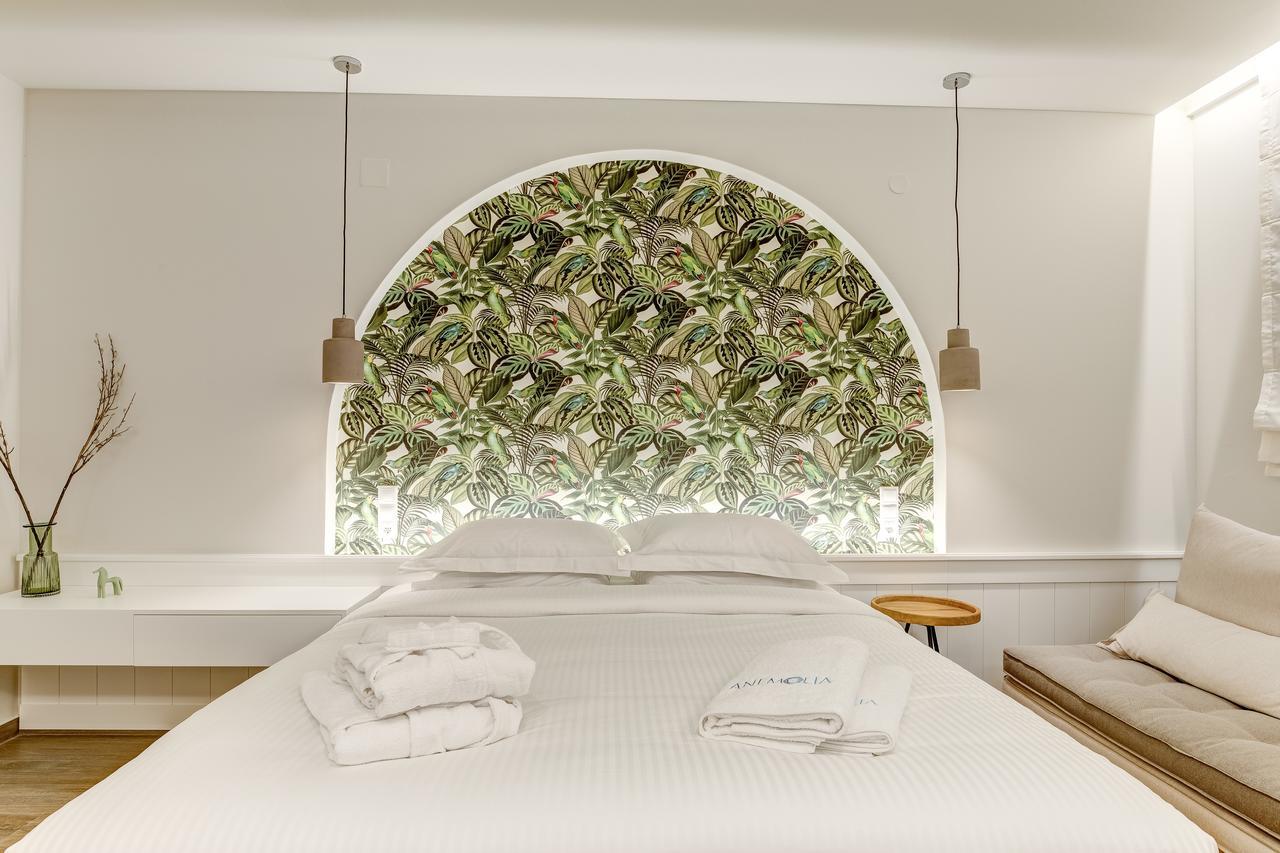 Sarakiniko  Anemolia Parga Suites מראה חיצוני תמונה